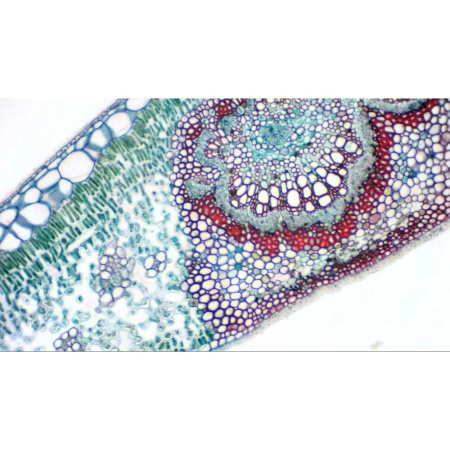 bresser-camara-microocular-micro-eyepiece-camera_2