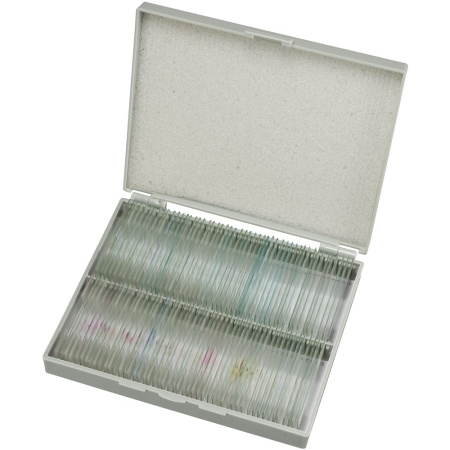 bresser-prepared-slides-100-units