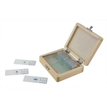celestron-25-mounts-prepared-slides-mounts_1